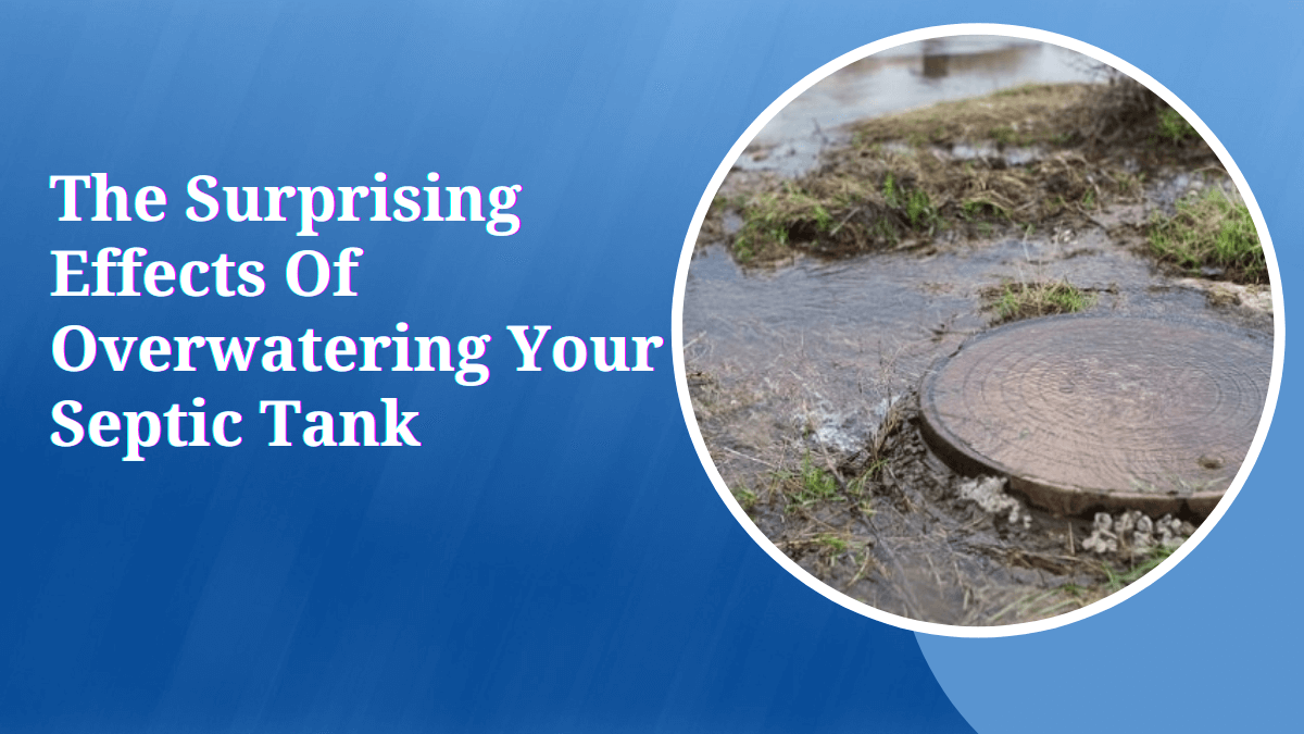 The Surprising Effects of Overwatering Your Septic Tank