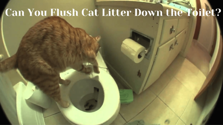 Flush Cat Litter